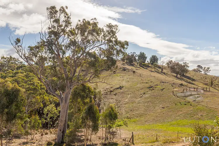 Third view of Homely house listing, 1136 Old Cooma Road, Googong NSW 2620