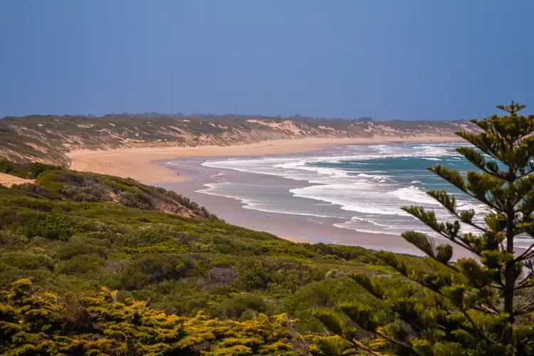 Third view of Homely house listing, 91 The Parade, Ocean Grove VIC 3226