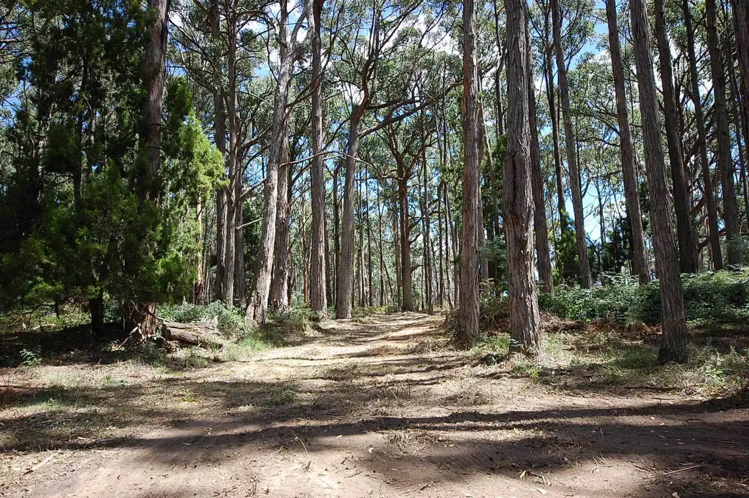Main view of Homely land listing, 4110 Midland Highway, Daylesford VIC 3460