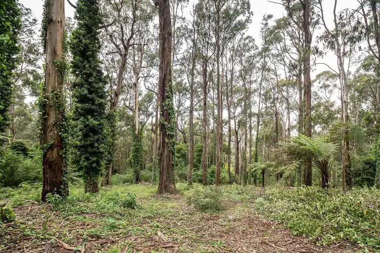 Fourth view of Homely land listing, 19 Olinda Creek Road, Kalorama VIC 3766