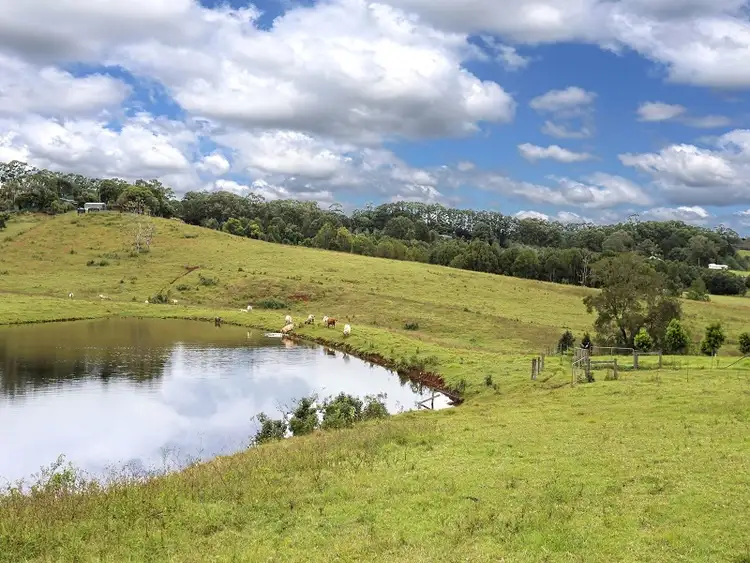 Fifth view of Homely rural property listing, 1190 Eltham Road, Pearces Creek NSW 2477