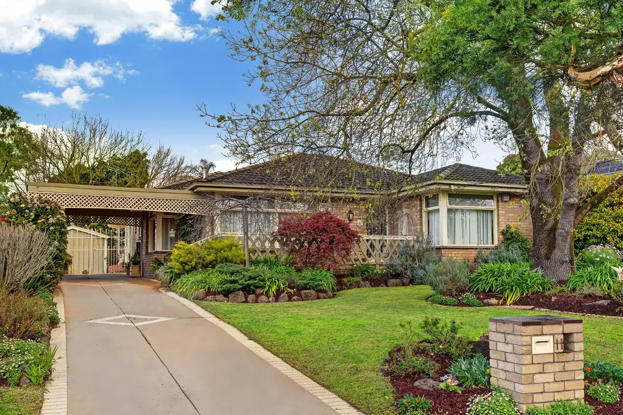 Main view of Homely house listing, 11 Winchester Drive, Bayswater North VIC 3153