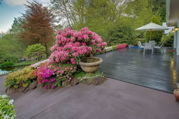 Fifth view of Homely house listing, 1464 Mount Dandenong Tourist Road, Mount Dandenong VIC 3767