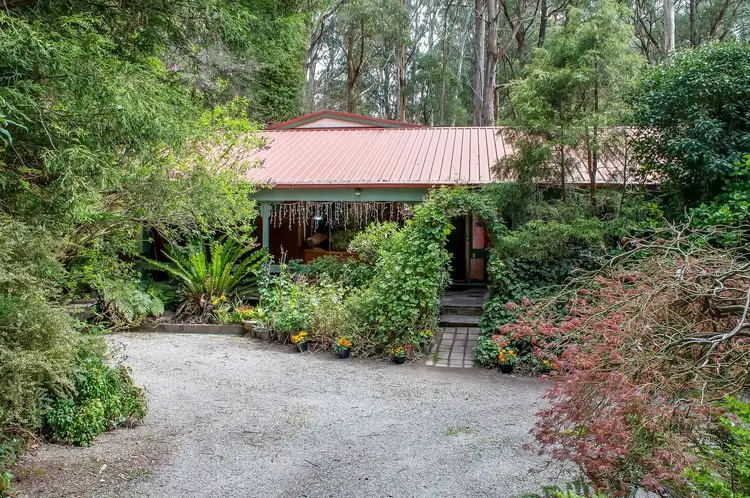 Sixth view of Homely house listing, 15 Alice Street, Sassafras VIC 3787