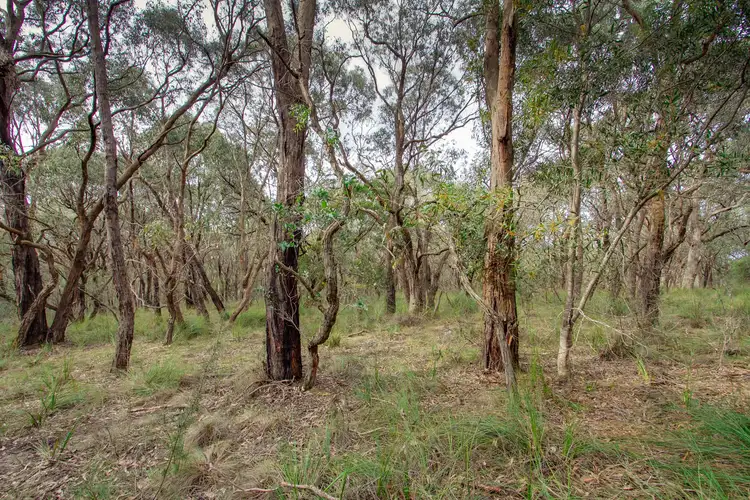 Sixth view of Homely land listing, Lot/101 Short Road, Macclesfield VIC 3782
