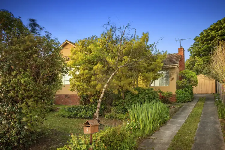 3 Begonia Street, Box Hill South VIC 3128