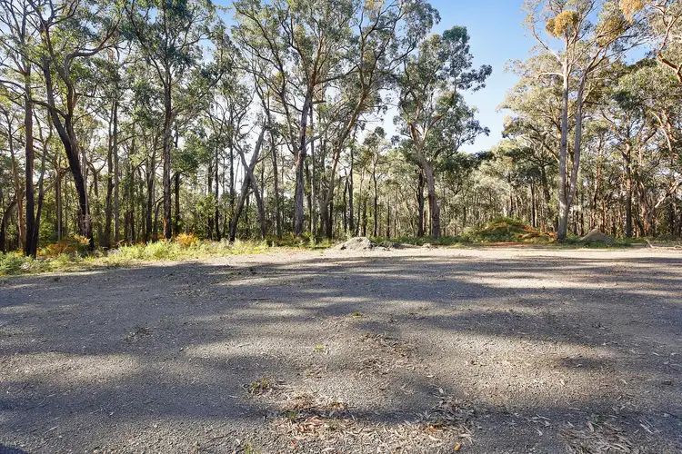 Second view of Homely land listing, 245 Eacotts Road, Hoddles Creek VIC 3139