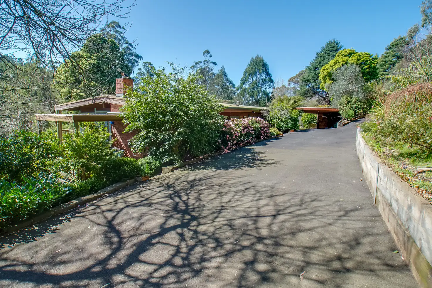 Main view of Homely house listing, 54-56 View Road, The Patch VIC 3792