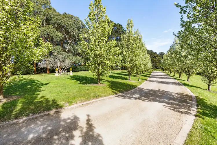 Fifth view of Homely house listing, 60 Sheehans Road, Red Hill VIC 3937