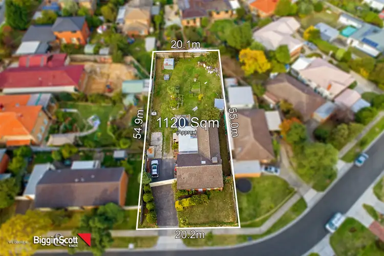 13 Tulip Crescent, Boronia VIC 3155