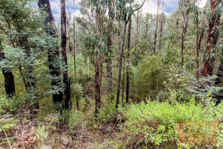 Seventh view of Homely land listing, 345 Ninks Road, St Andrews VIC 3761