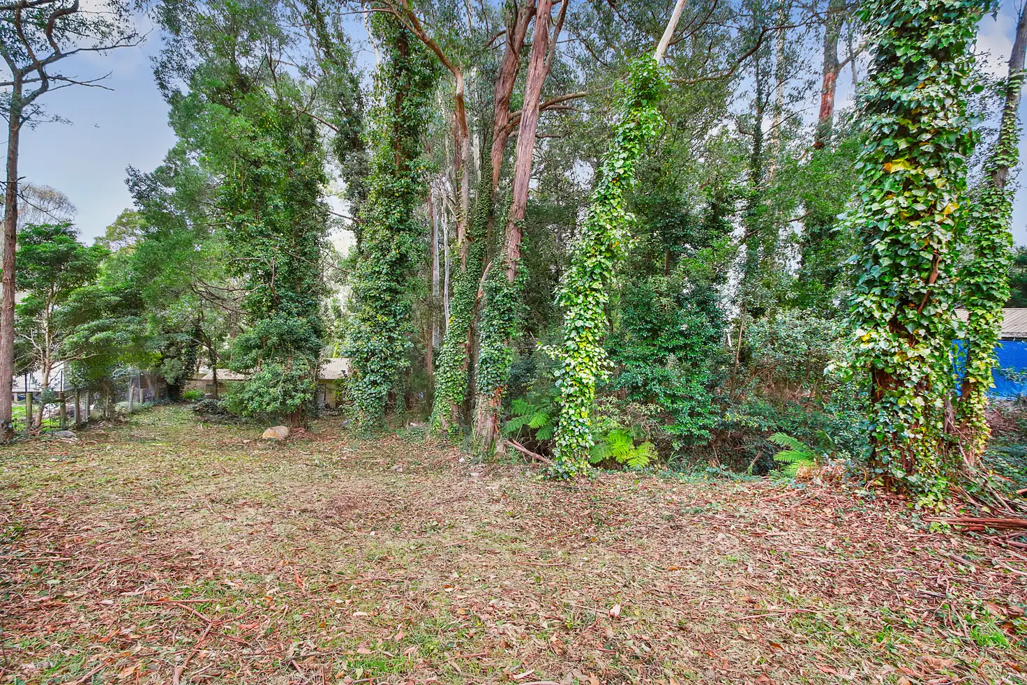 Main view of Homely land listing, 2 Lillis Court, Millgrove VIC 3799