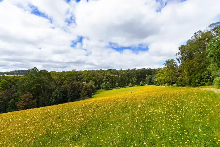 Sixth view of Homely land listing, 15 Collie Road, Gembrook VIC 3783