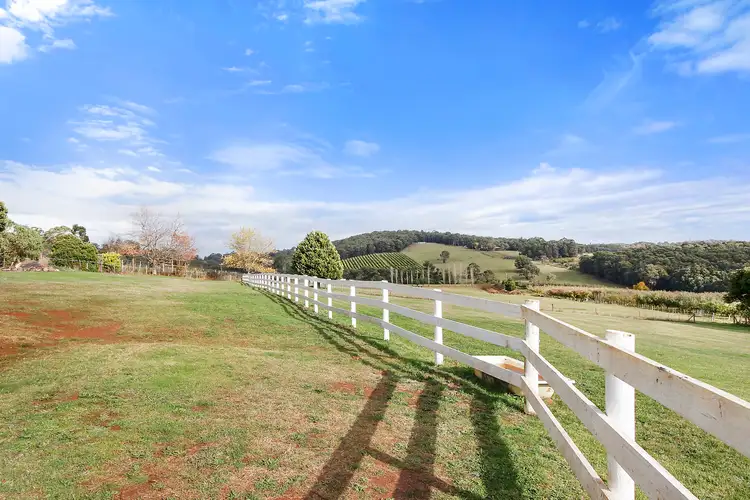 Third view of Homely house listing, 694 Lusatia Park Road, Hoddles Creek VIC 3139