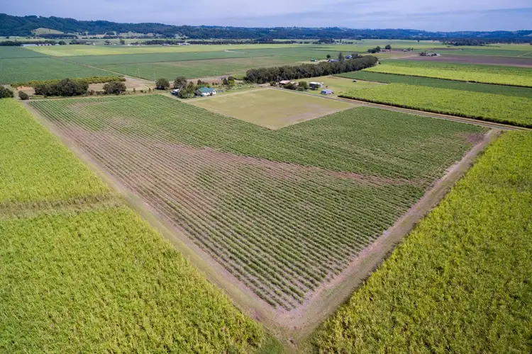 Sixth view of Homely rural property listing, Lot 21 Hermans Lane, Pimlico NSW 2478