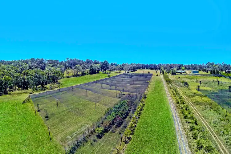 Fourth view of Homely rural property listing, 2614 Wisemans Ferry Road, Mangrove Mountain NSW 2250