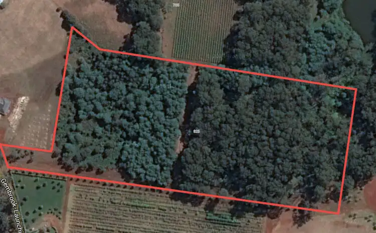 825 Gembrook - Launching Place Road, Hoddles Creek VIC 3139