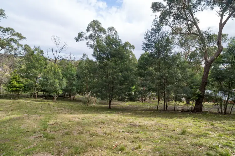 Seventh view of Homely house listing, 77 Ferndale Road, Upper Ferntree Gully VIC 3156