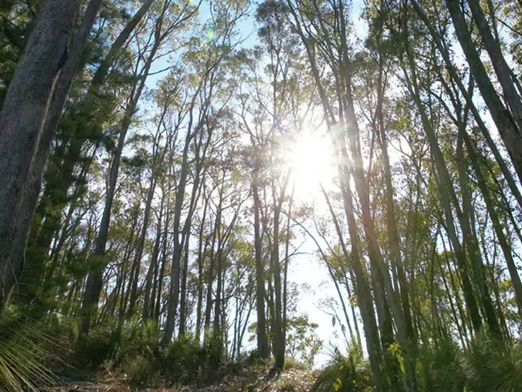 Lot 40 Sobey Street, Mount Helen VIC 3350