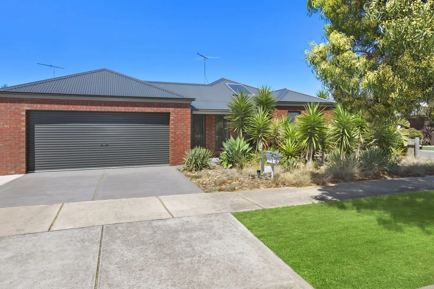 Main view of Homely house listing, 8 Curzon Drive, Ocean Grove VIC 3226