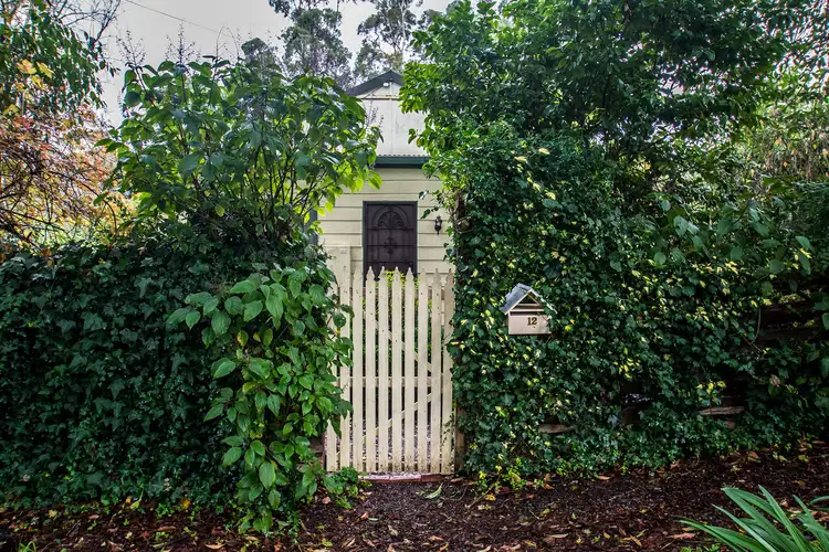 12 Douglas Street, Upwey VIC 3158