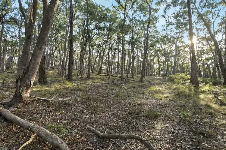 Third view of Homely land listing, Lot 49 Cemetery Road, Eganstown VIC 3461