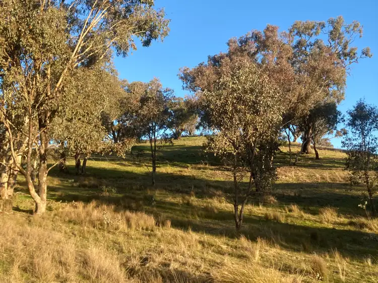 Second view of Homely land listing, 0 Oak Street, Reids Flat NSW 2586