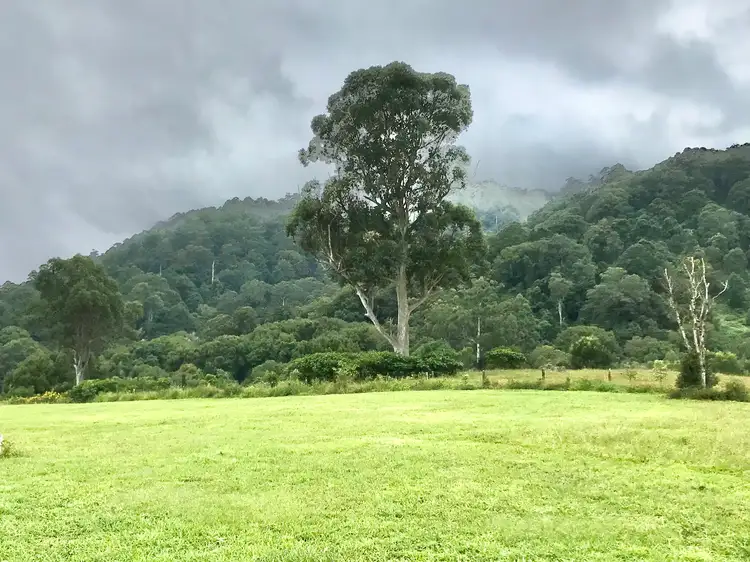 Sixth view of Homely land listing, 17 Evelyn Way, Nimbin NSW 2480