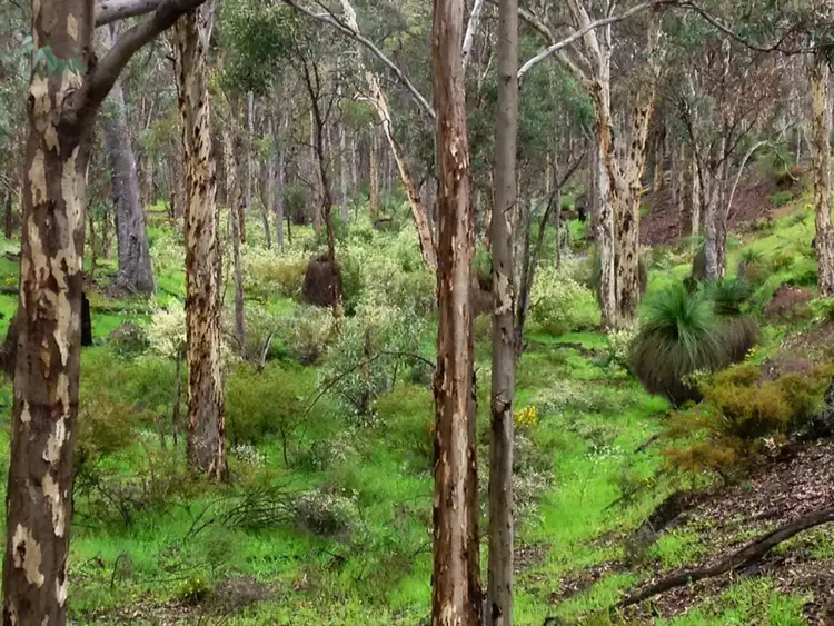 Fifth view of Homely house listing, Address available on request