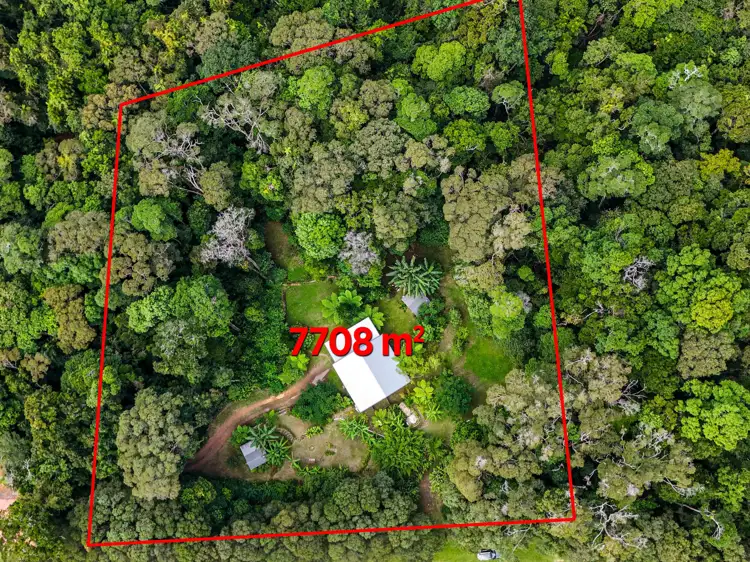 Third view of Homely house listing, 43 Williamson Drive, Kuranda QLD 4881