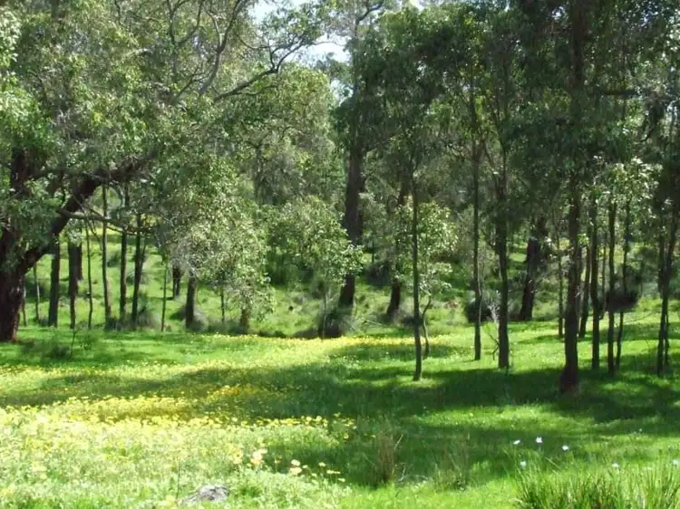 27 Lyons Road, Waroona WA 6215