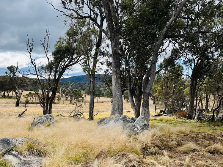89 Geyers Road, Tenterfield NSW 2372
