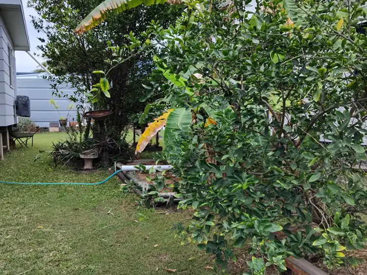 Second view of Homely house listing, 16 South End Terrace, Curtis Island QLD 4680