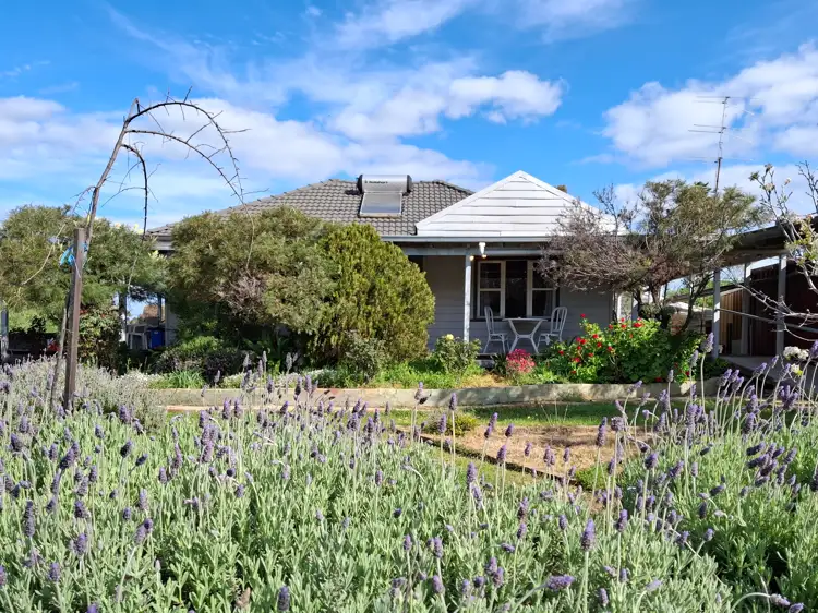 Main view of Homely house listing, 59 Pingelly Heights, Pingelly WA 6308