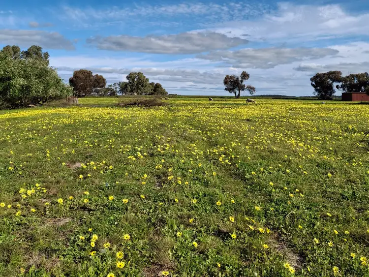Second view of Homely house listing, 59 Pingelly Heights, Pingelly WA 6308