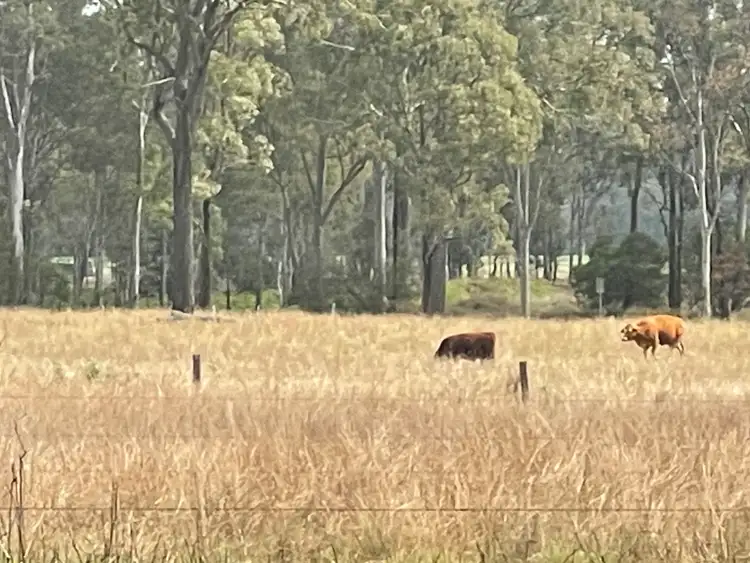 Sixth view of Homely land listing, 926 Mondure Wheatlands Road, Mondure QLD 4611