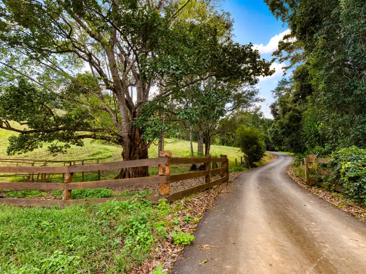 Third view of Homely rural property listing, 371 Pomona Kin Kin Road, Pinbarren QLD 4568