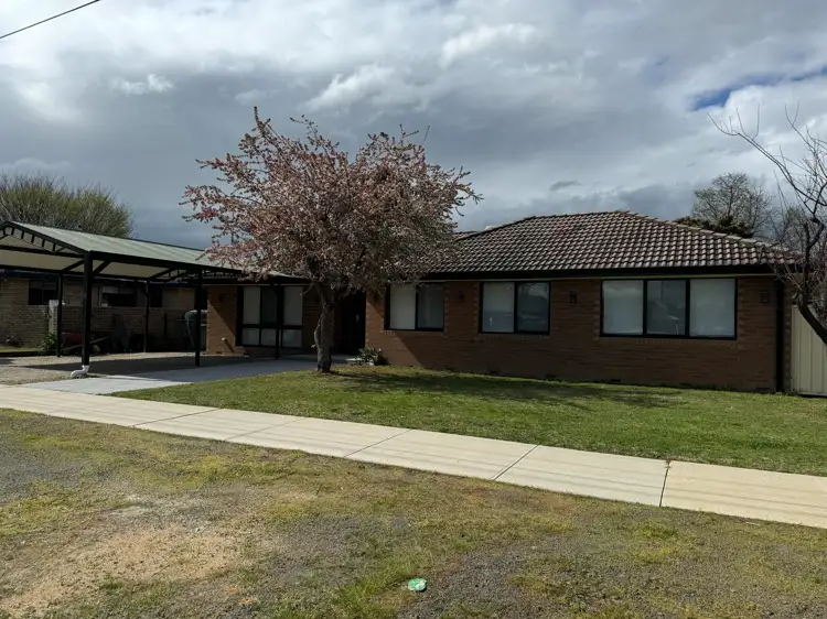 Third view of Homely house listing, 147 Jindera Street, Jindera NSW 2642