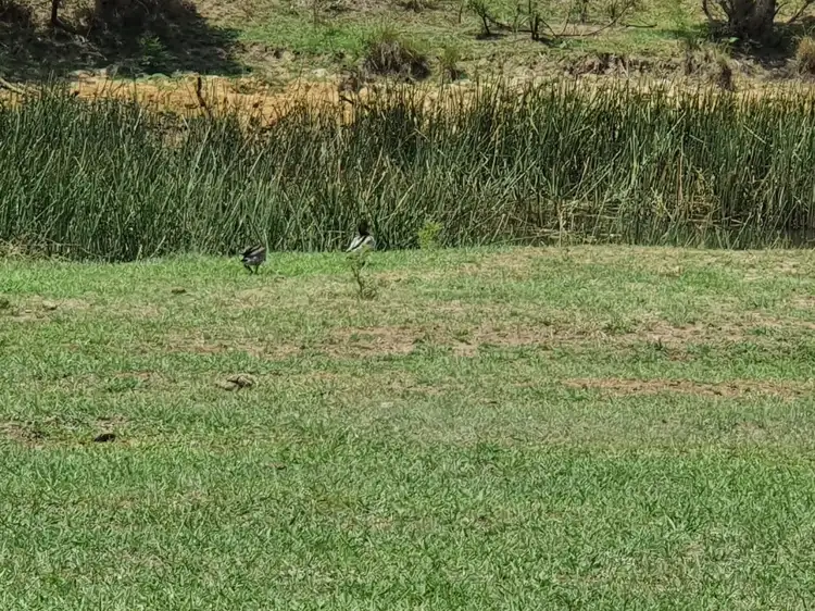 Seventh view of Homely land listing, 370 Roswill Drive, Putty NSW 2330