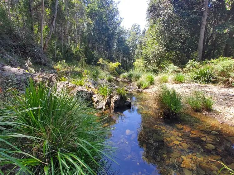 Second view of Homely house listing, 1038 Tallawudjah Creek Road, Glenreagh NSW 2450