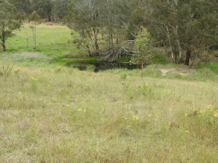 Seventh view of Homely land listing, 158 Sunny Corner Road, Portland NSW 2847