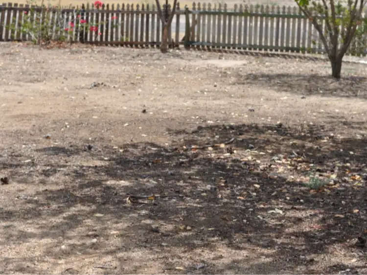 Third view of Homely land listing, 7 Beaconsfield Street, Hughenden QLD 4821