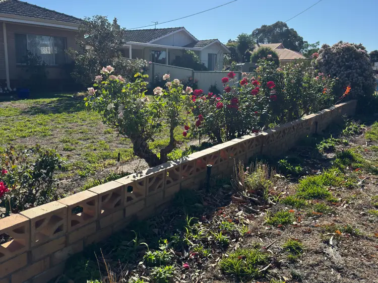 Fourth view of Homely house listing, 7 Nalder Street, Wagin WA 6315