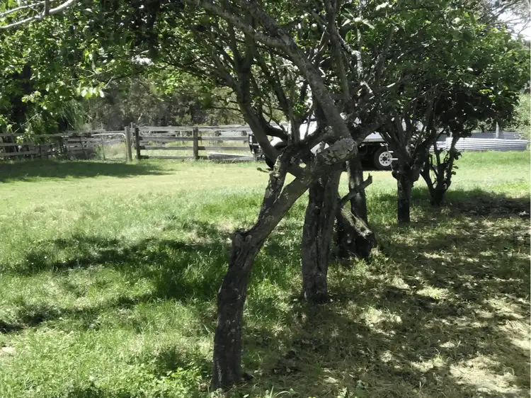 Third view of Homely land listing, 1570 Nar Nar Goon-Longwarry Road, Bunyip VIC 3815