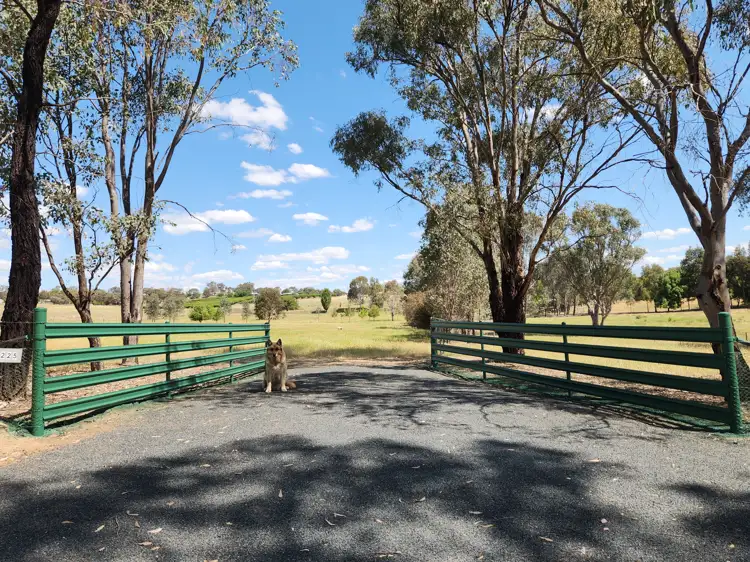 225 Belmore Road, Young NSW 2594