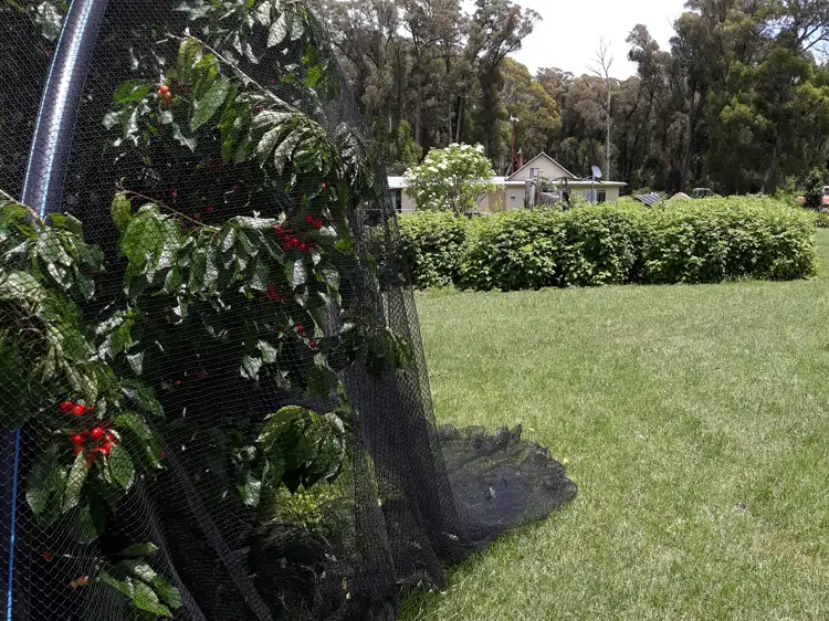 Second view of Homely rural property listing, 581 Lower Tablelands Road, Benambra VIC 3900