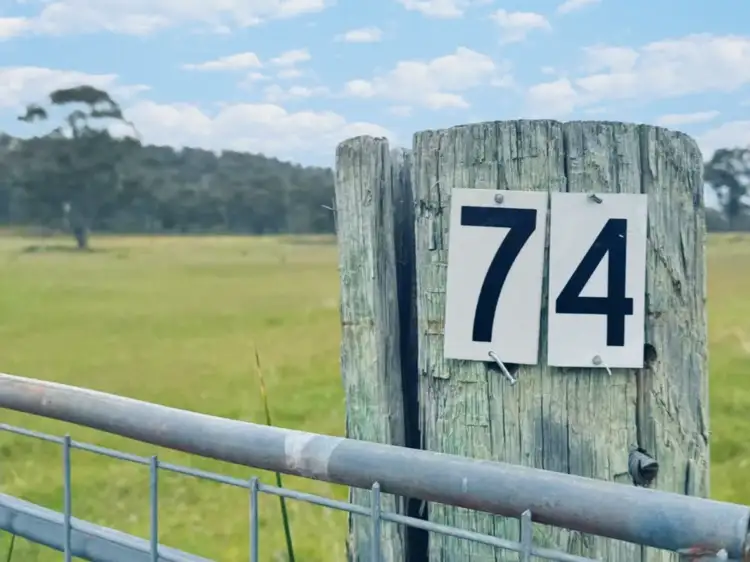 Main view of Homely land listing, 74 McGuires Marsh Road, Osterley TAS 7140
