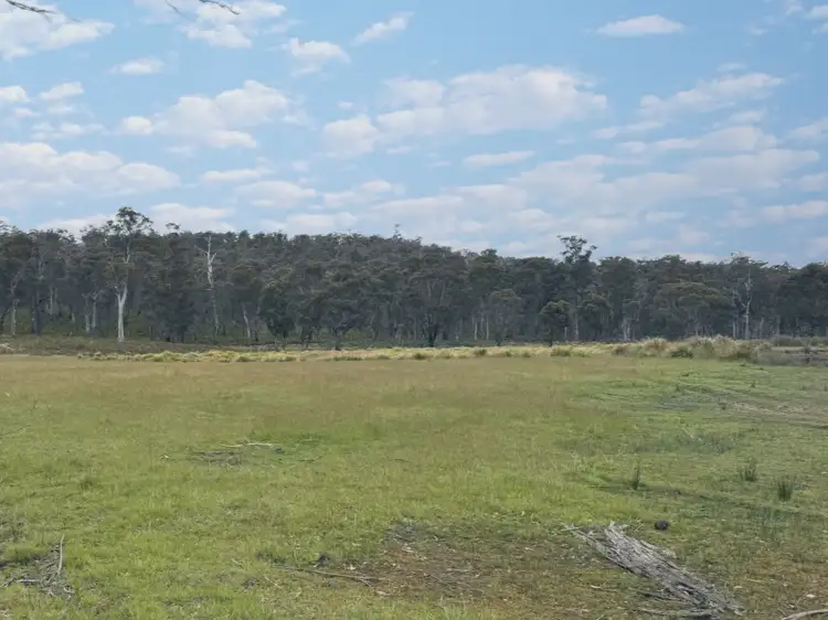 Fifth view of Homely land listing, 74 McGuires Marsh Road, Osterley TAS 7140