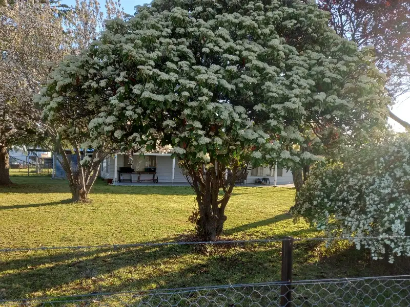 Main view of Homely rural property listing, 131 Jindalee Road, Kings Plains NSW 2360
