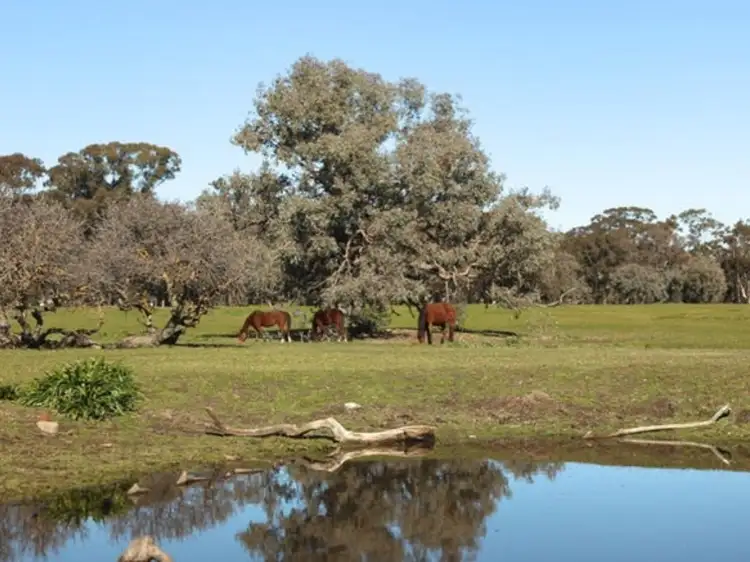 Main view of Homely land listing, 73 Murray Street, Violet Town VIC 3669